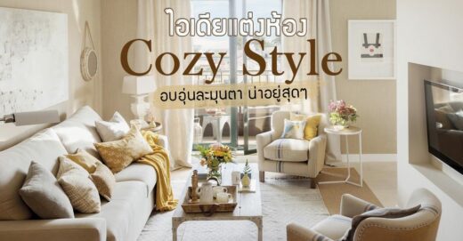 cozy style house